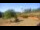 Webcam in Powell, Ohio, 47.4 mi away