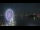 Webcam in National Harbor, Maryland, 43 km
