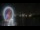 Webcam in National Harbor, Maryland, 8.9 mi away