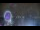 Webcam in National Harbor, Maryland, 10.3 km