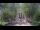 Webcam in Prescott, Arizona, 108.9 km