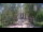 Webcam in Prescott, Arizona, 127.2 km entfernt