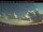 Webcam in Mont-Laurier, 45.2 km