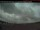 Webcam in Mont-Laurier, 17.5 mi away