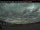 Webcam in Mont-Laurier, 17.5 mi away