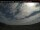 Webcam in Trenton, 49.7 mi away