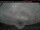 Webcam in Trenton, 51.9 mi away
