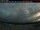 Webcam in La Grande-4, 120.9 mi away