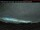 Webcam in Parry Sound, 86.7 mi away