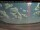 Webcam in Elliot Lake, 254 km