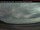 Webcam in Elliot Lake, 85.3 mi away