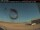 Webcam in Dryden, 135.1 mi away