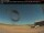 Webcam in Dryden, 145.5 mi away