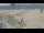 Webcam in Bredene, 50.1 km entfernt