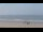 Webcam in Bredene, 17.6 km