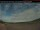 Webcam in Natuashish, 259.8 km entfernt