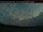 Webcam in Saint-Stephen, 163.2 km entfernt