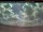 Webcam in Saint-Stephen, 44.9 mi away