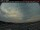 Webcam in Lincoln, 92.8 km