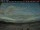 Webcam in Lincoln, 103.5 mi away
