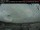 Webcam in Lincoln, 268.6 km entfernt