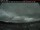 Webcam in Lincoln, 67.2 mi away