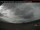 Webcam in Haines Junction, 171.1 mi away