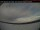 Webcam in Haines Junction, 249.6 mi away