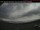 Webcam in Haines Junction, 243.2 mi away
