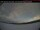 Webcam in Haines Junction, 254.1 mi away