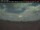 Webcam in Peterborough, 162.6 km