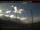 Webcam in Coleman, 146.5 km entfernt