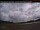 Webcam in Anahim Lake, 397.2 km