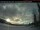 Webcam in Atlin, 244.8 km entfernt
