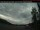 Webcam in Atlin, 167.8 mi away