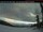 Webcam in Atlin, 97.6 mi away