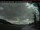 Webcam in Atlin, 253 km
