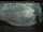 Webcam in Atlin, 94.4 mi away