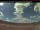 Webcam in Burns Lake, 218.9 km entfernt