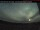 Webcam in Burns Lake, 188.3 mi away