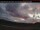 Webcam in Burns Lake, 286.8 km