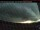 Webcam in Burns Lake, 284 km entfernt