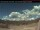 Webcam in Clearwater, 241.8 km entfernt