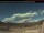 Webcam in Clearwater, 93.3 mi away