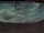 Webcam in Clearwater, 169 km