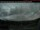 Webcam in Clearwater, 241.8 km