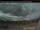 Webcam in Clearwater, 47 mi away