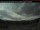 Webcam in Clearwater, 193.9 km
