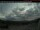 Webcam in Clearwater, 193.9 km