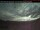 Webcam in Clearwater, 185.3 km